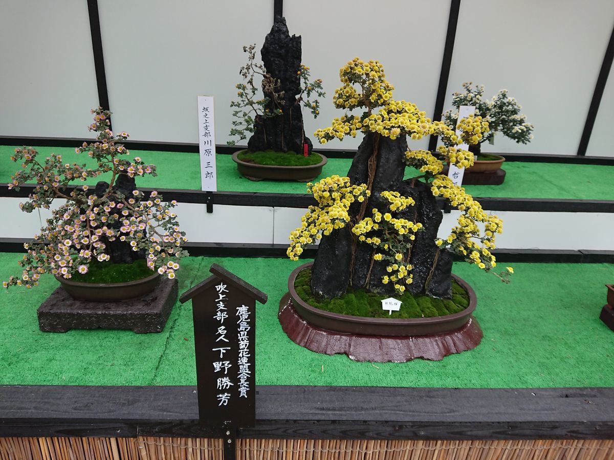 f:id:damtraveller:20201120224119j:plain