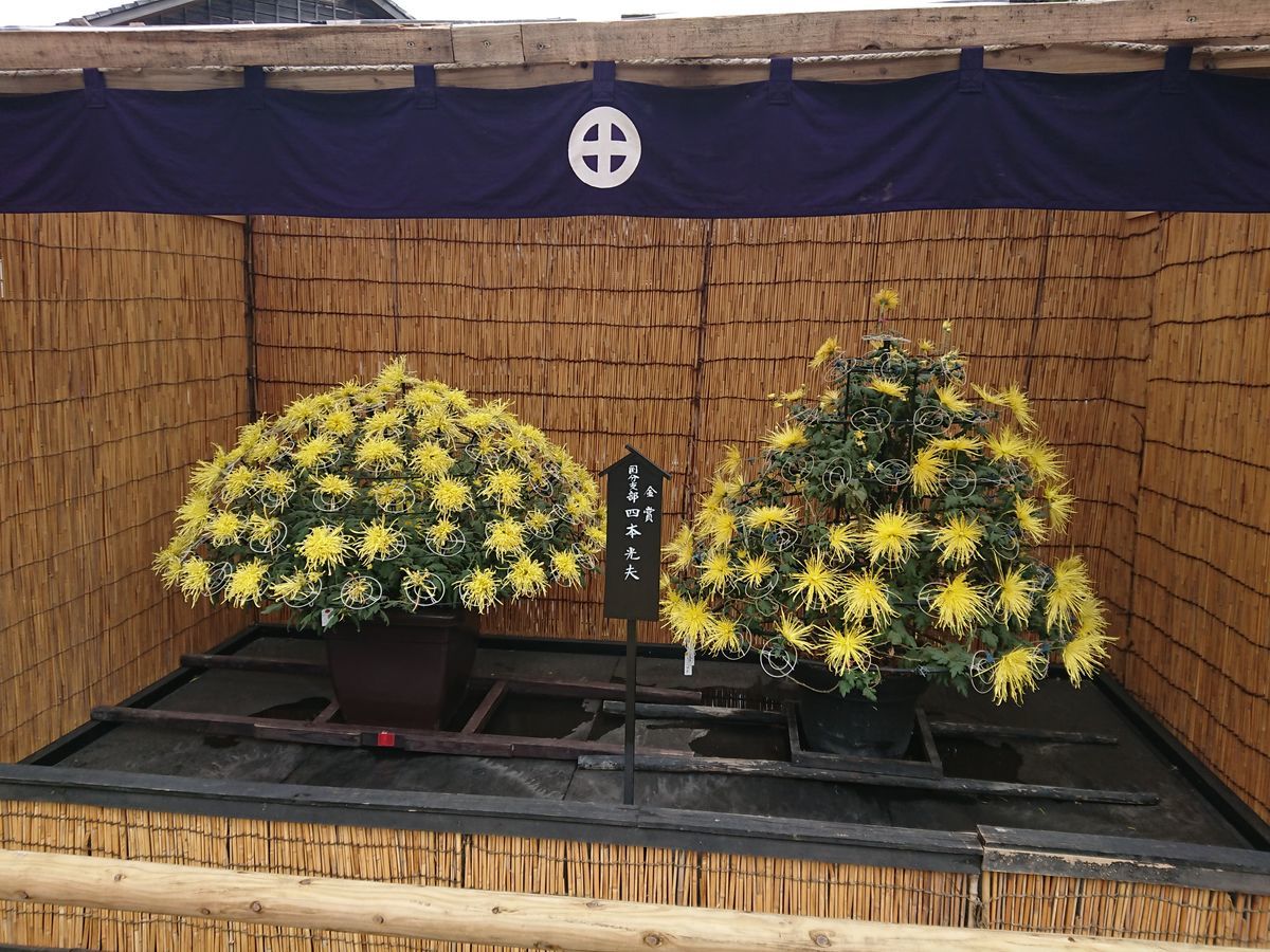 f:id:damtraveller:20201120224123j:plain