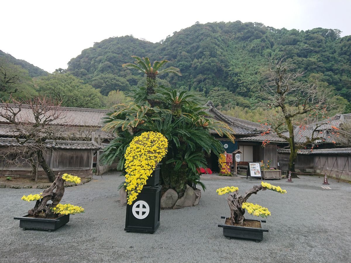 f:id:damtraveller:20201120225019j:plain