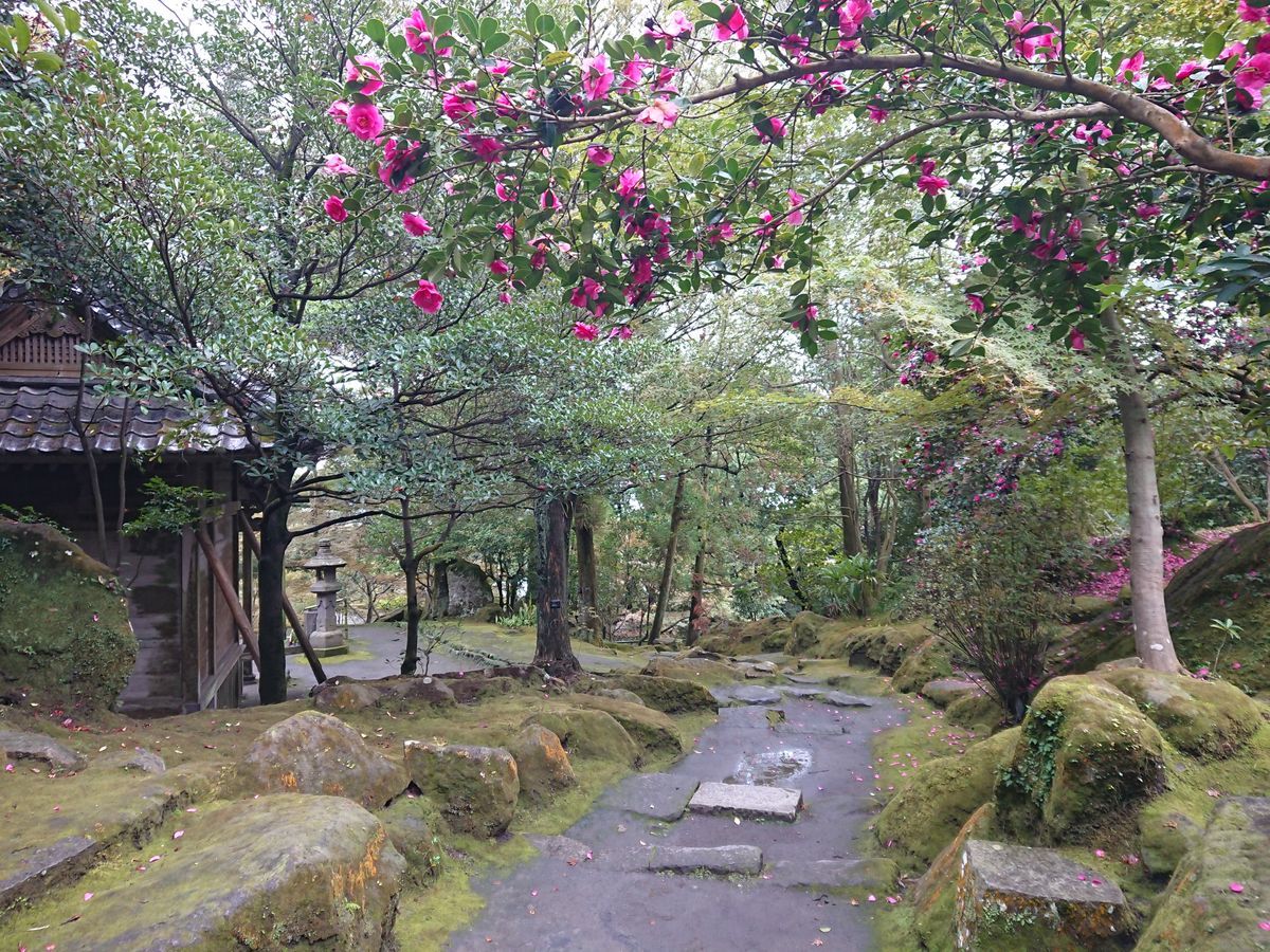 f:id:damtraveller:20201120225341j:plain