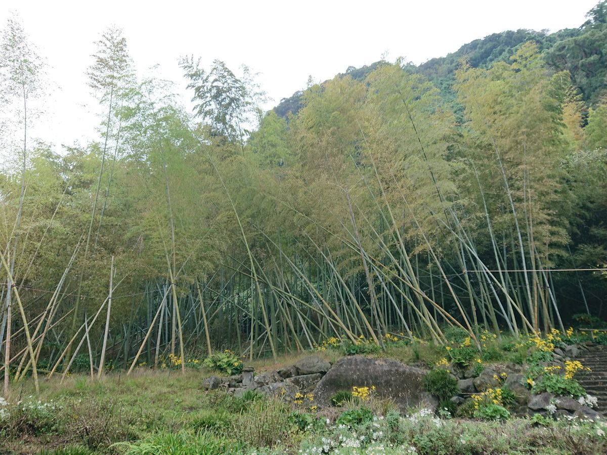 f:id:damtraveller:20201120225349j:plain