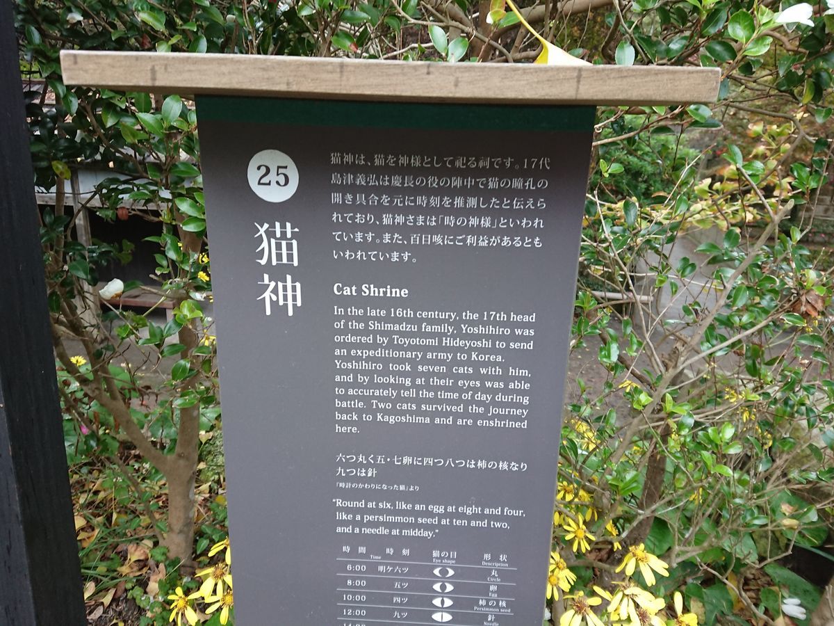 f:id:damtraveller:20201120225353j:plain