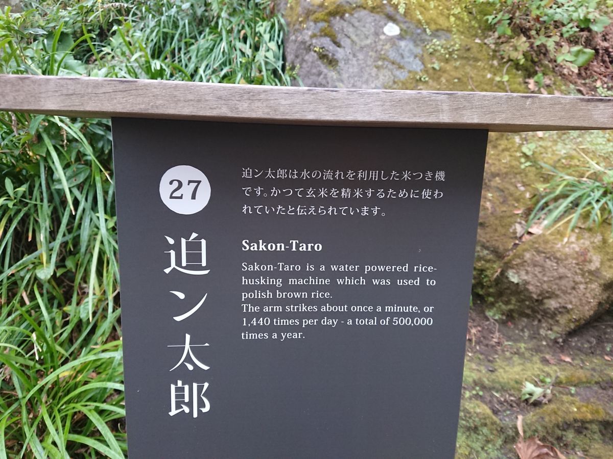 f:id:damtraveller:20201120225419j:plain