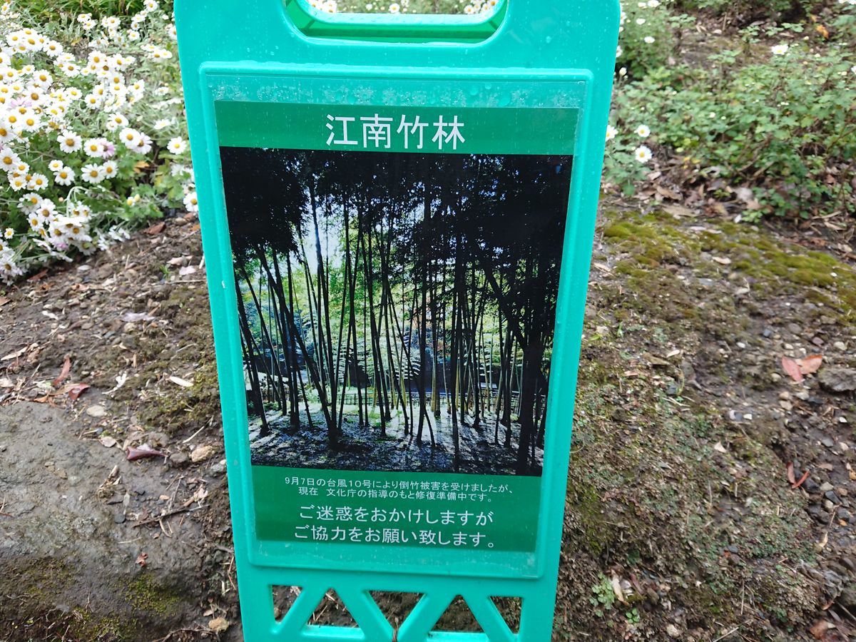 f:id:damtraveller:20201120225634j:plain