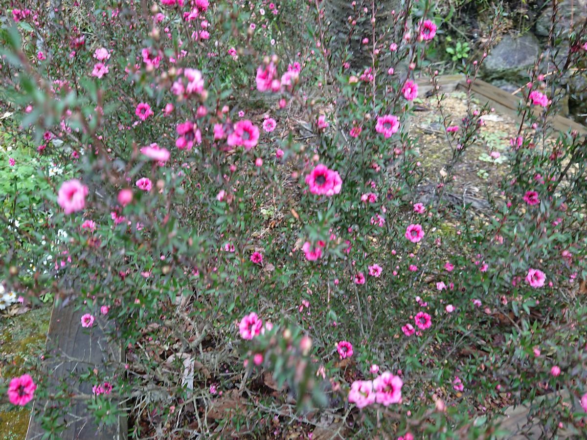 f:id:damtraveller:20201120230005j:plain