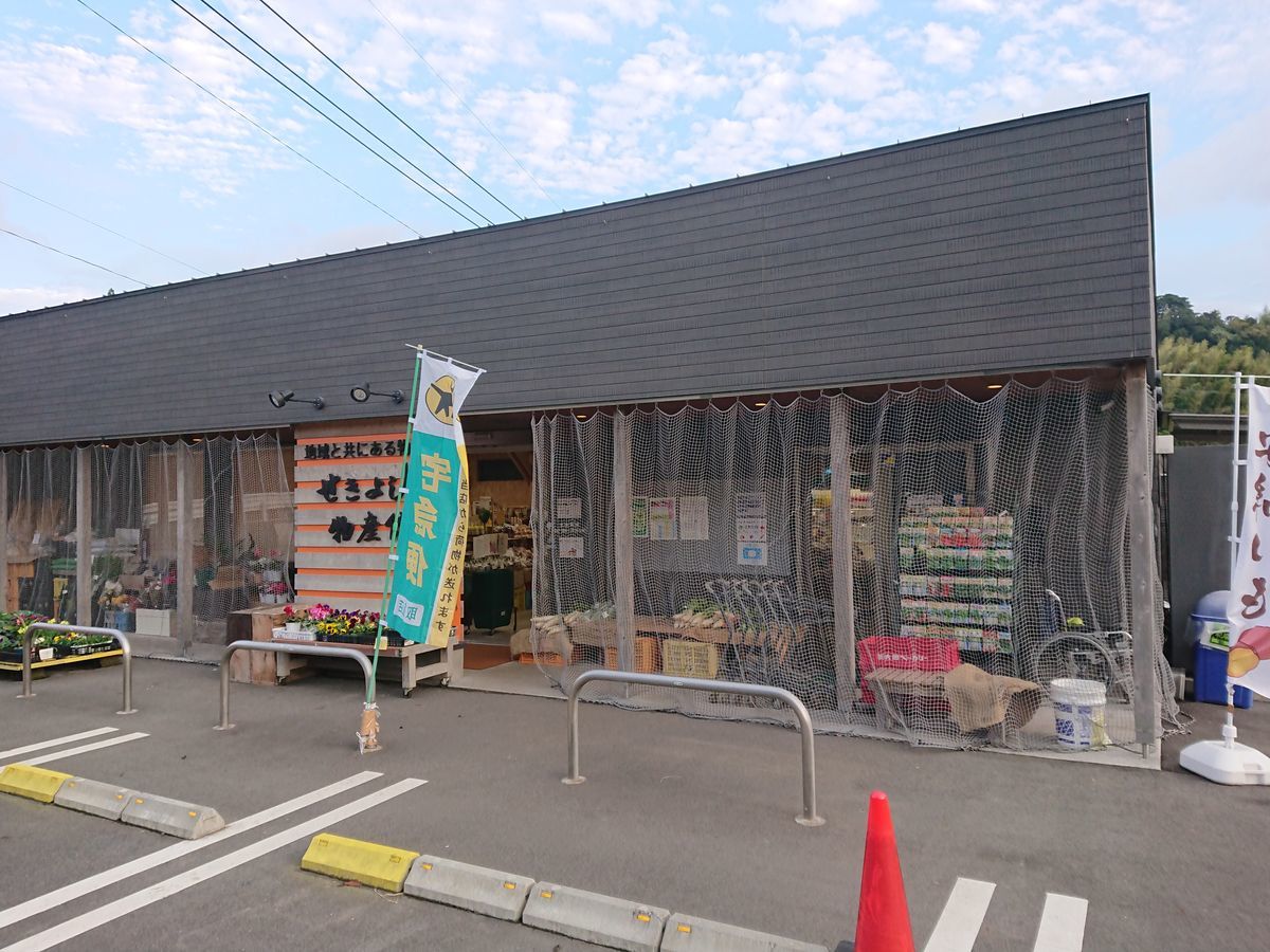 f:id:damtraveller:20201120234005j:plain