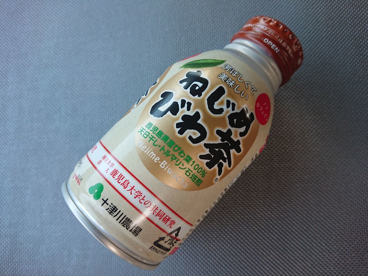 f:id:damtraveller:20201123184833j:plain