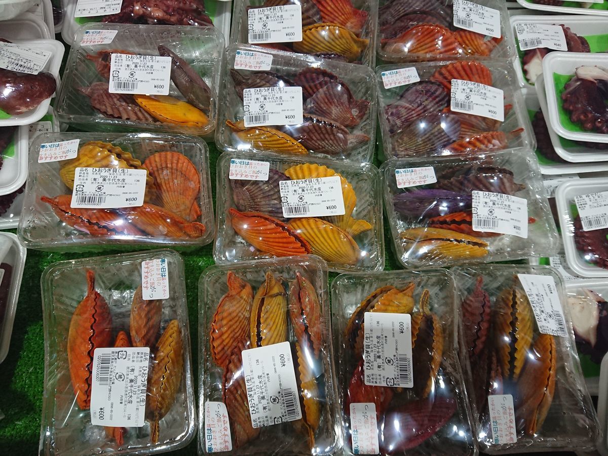 f:id:damtraveller:20201123185654j:plain