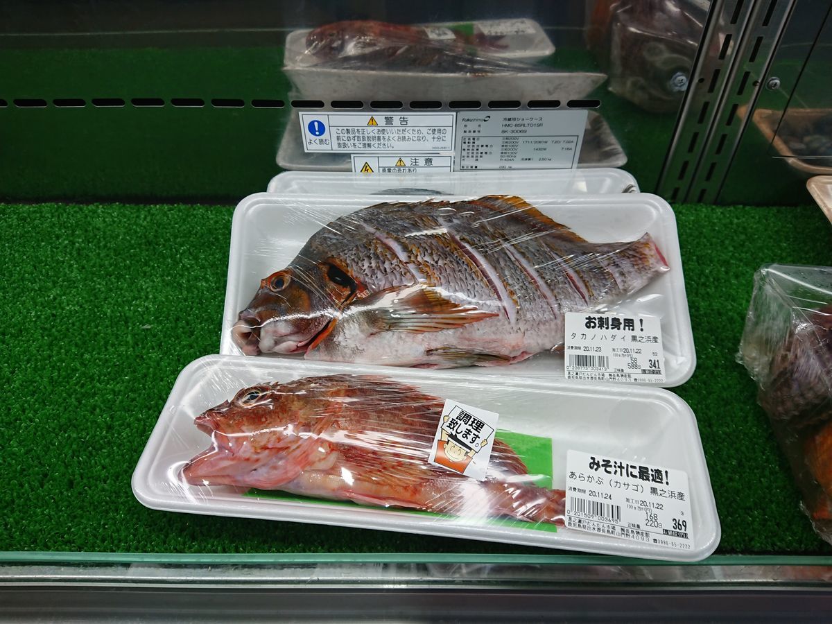 f:id:damtraveller:20201123185657j:plain