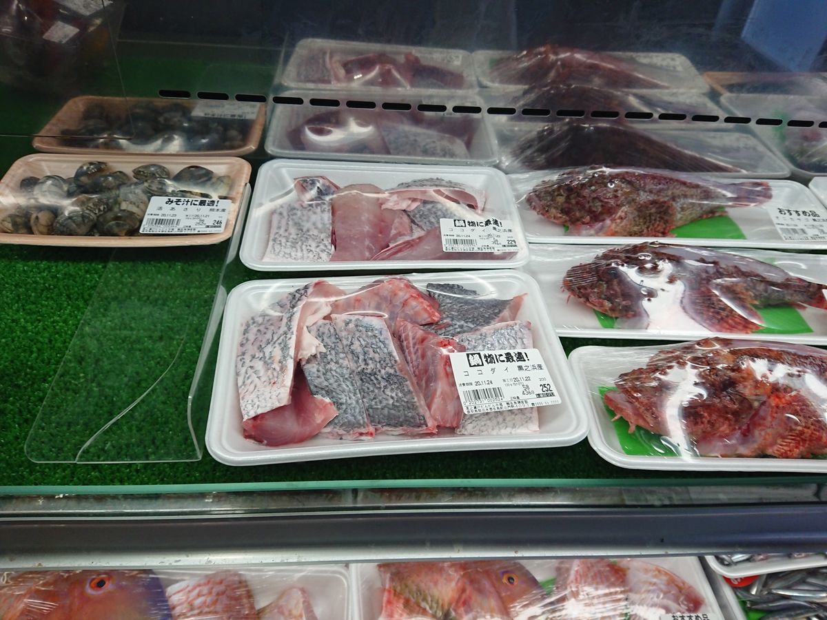 f:id:damtraveller:20201123185659j:plain