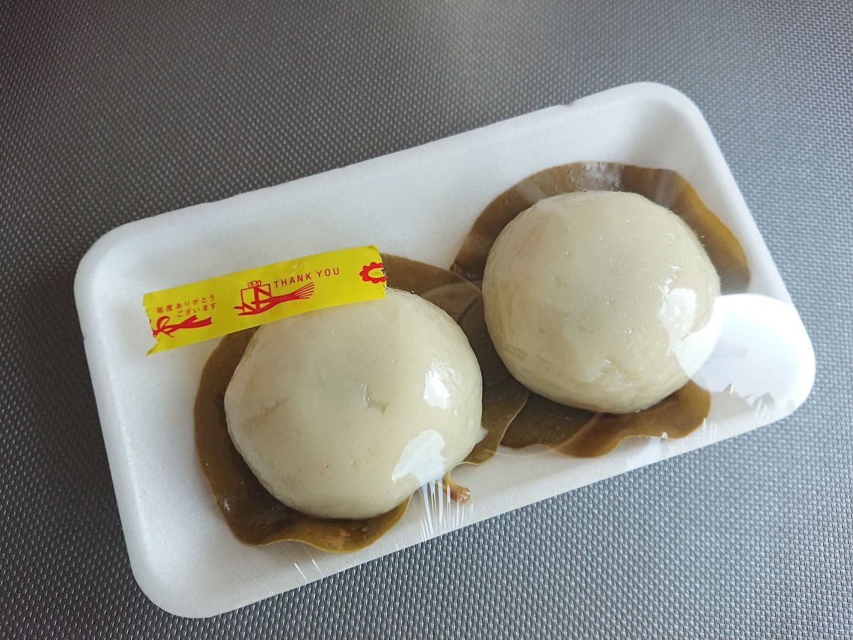 f:id:damtraveller:20201123185807j:plain