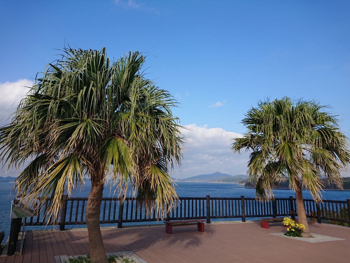 f:id:damtraveller:20201123193747j:plain