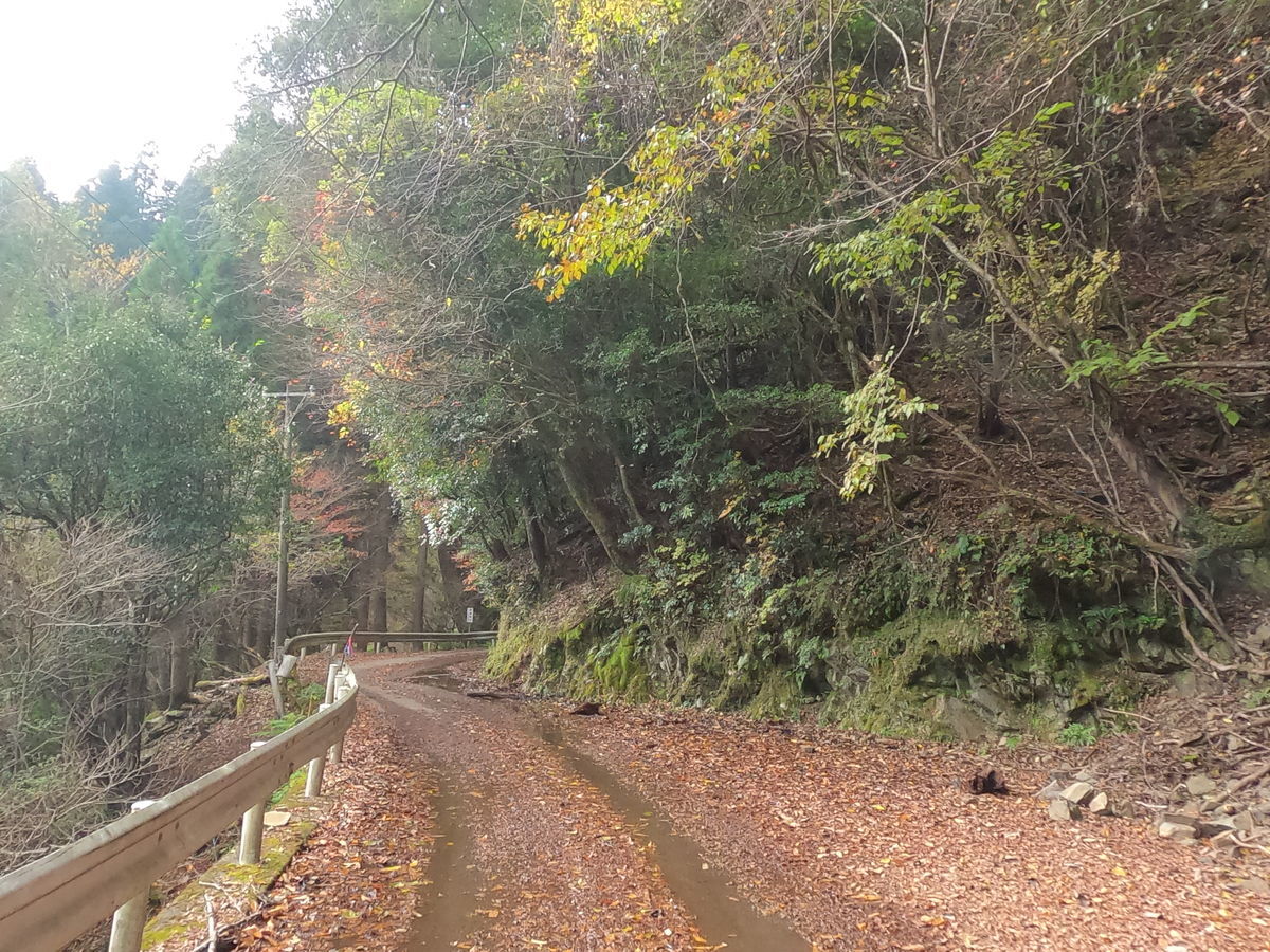 f:id:damtraveller:20201125193003j:plain