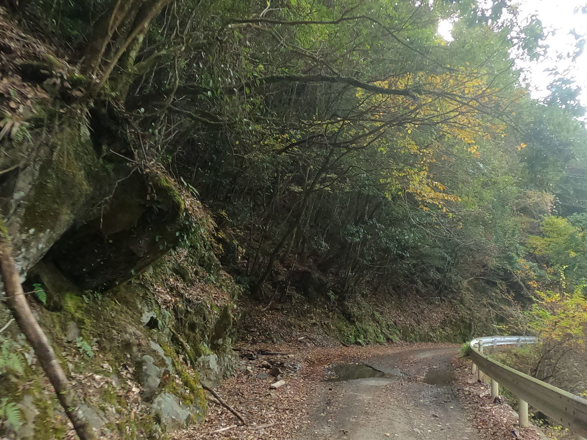 f:id:damtraveller:20201125193136j:plain