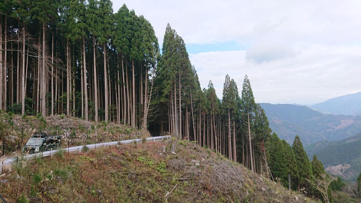 f:id:damtraveller:20201125193402j:plain