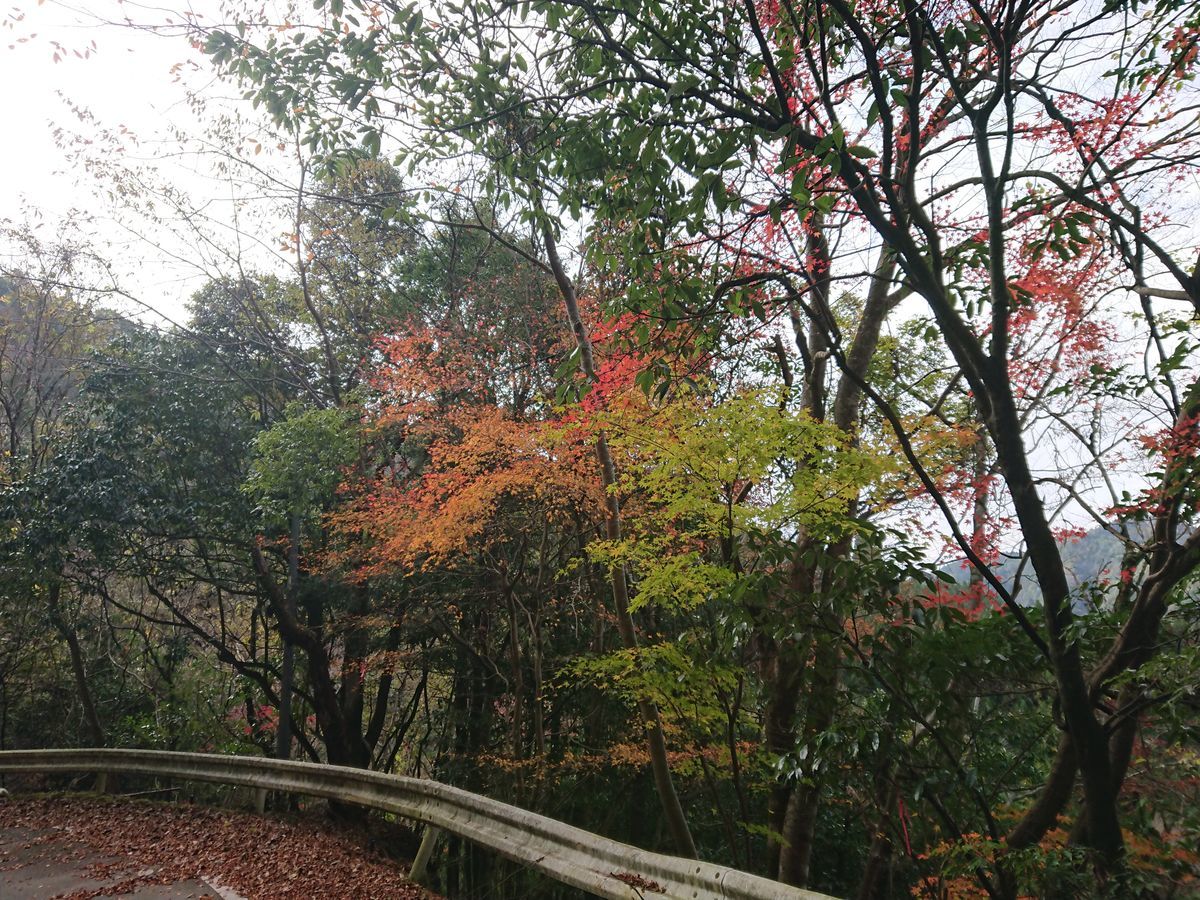 f:id:damtraveller:20201125193406j:plain