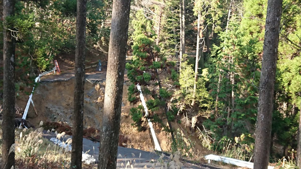 f:id:damtraveller:20201125194112j:plain