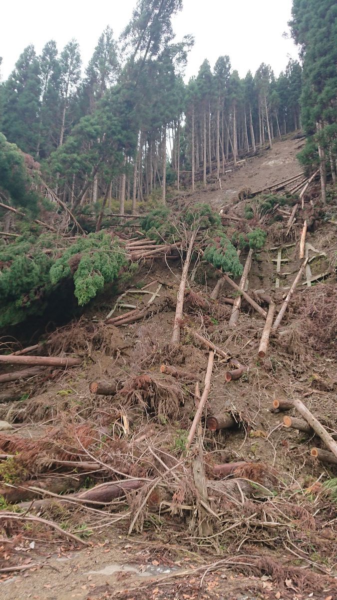 f:id:damtraveller:20201125194632j:plain