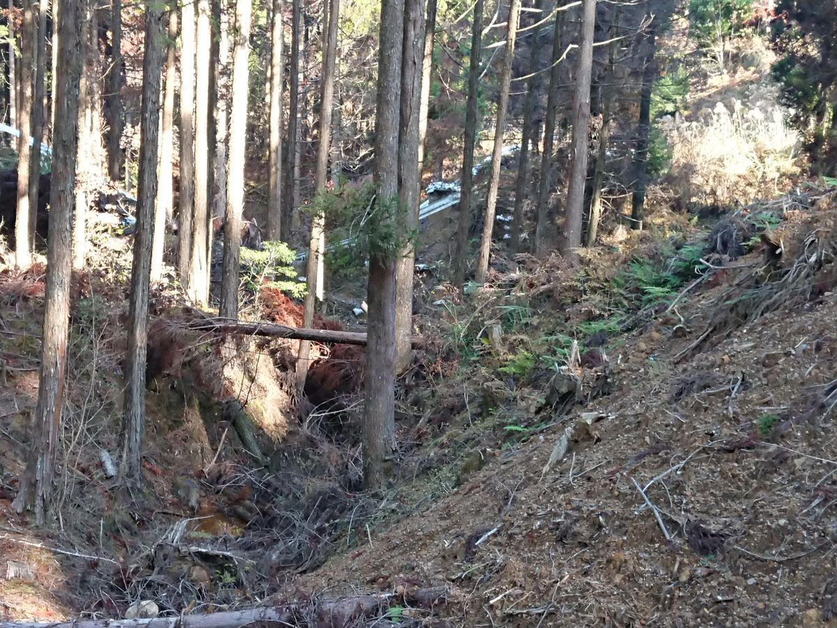 f:id:damtraveller:20201125195053j:plain