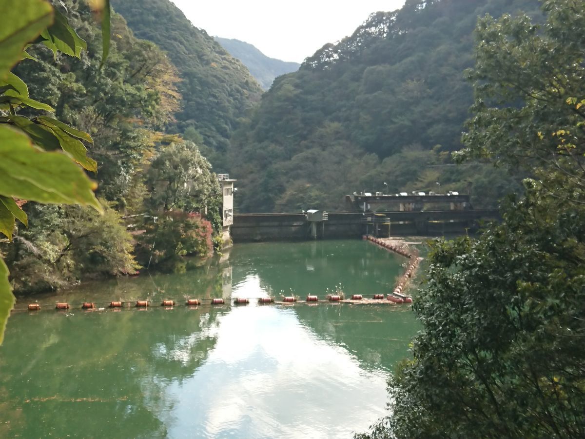 f:id:damtraveller:20201125203545j:plain