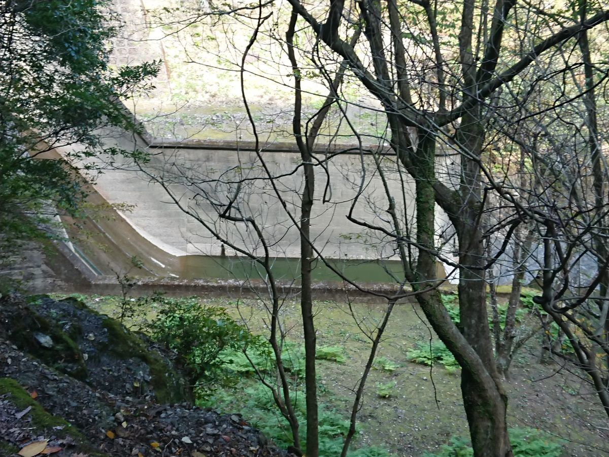 f:id:damtraveller:20201125204015j:plain