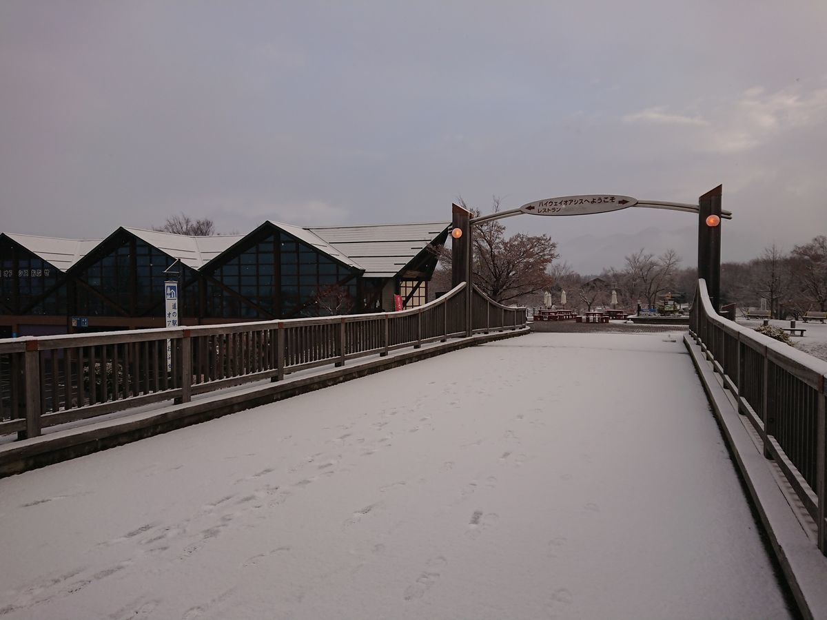 f:id:damtraveller:20201216005543j:plain