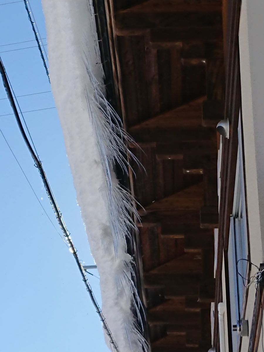 f:id:damtraveller:20201223175346j:plain