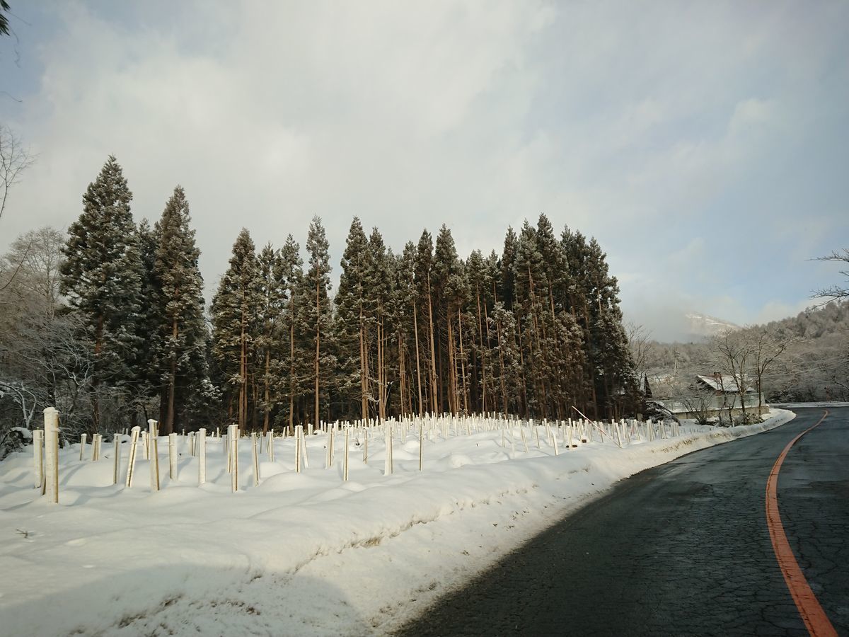 f:id:damtraveller:20201225164807j:plain