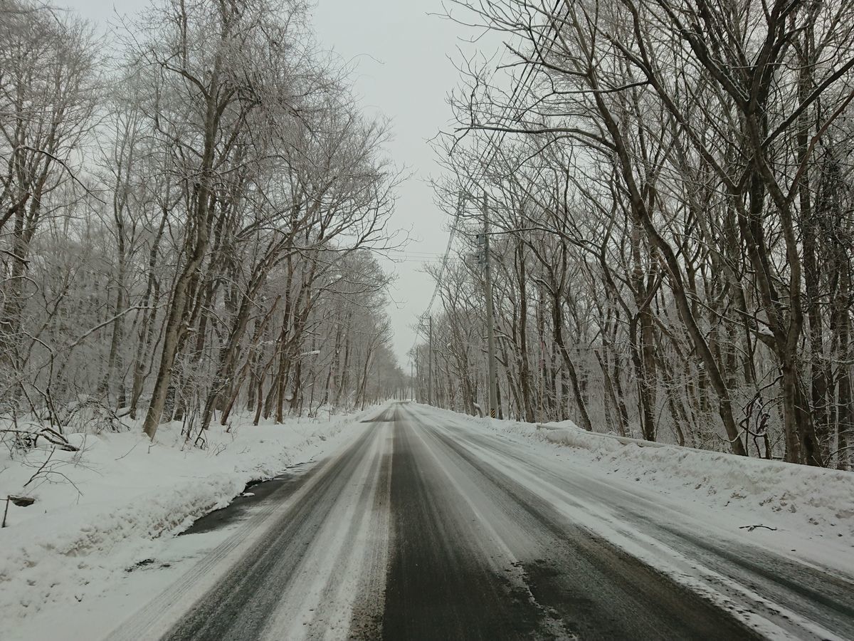 f:id:damtraveller:20201225165020j:plain