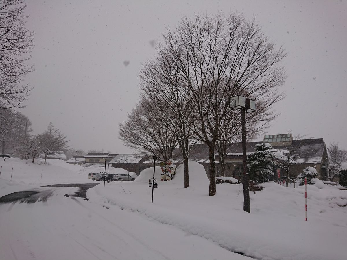 f:id:damtraveller:20201225174641j:plain