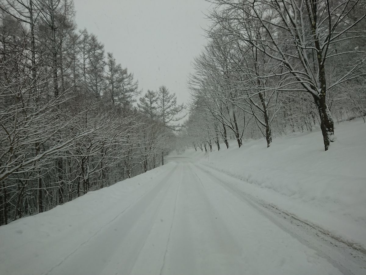 f:id:damtraveller:20201225175117j:plain