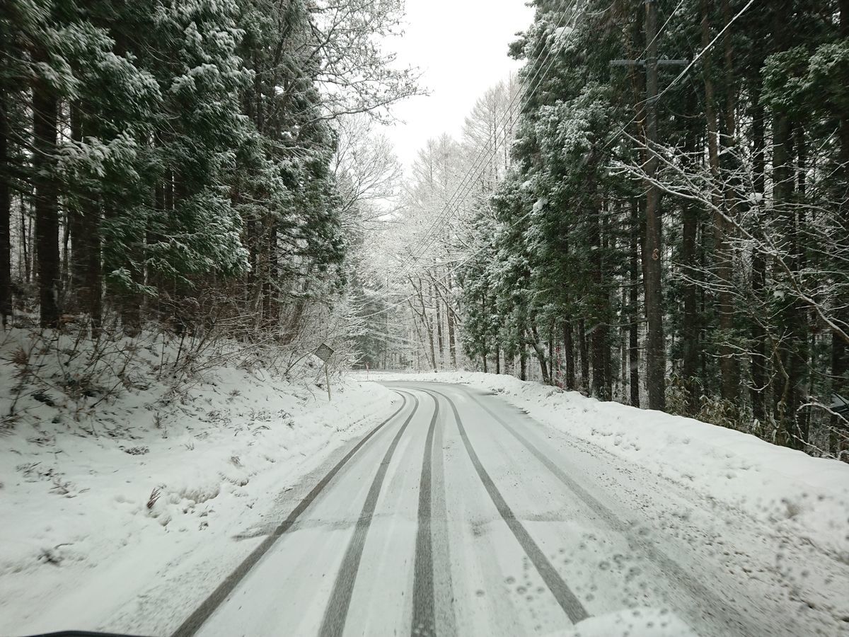 f:id:damtraveller:20201225175122j:plain