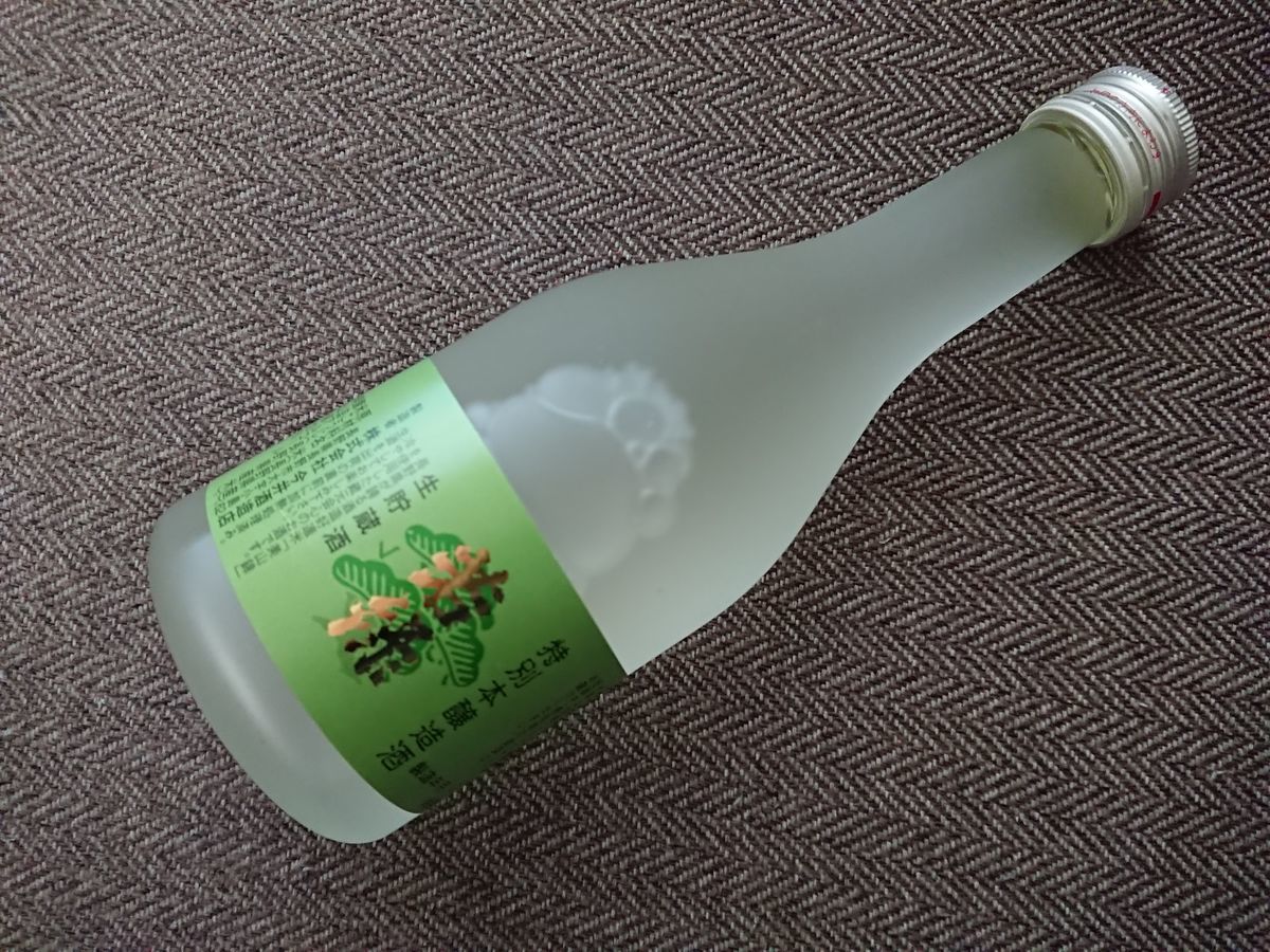 f:id:damtraveller:20201228192416j:plain