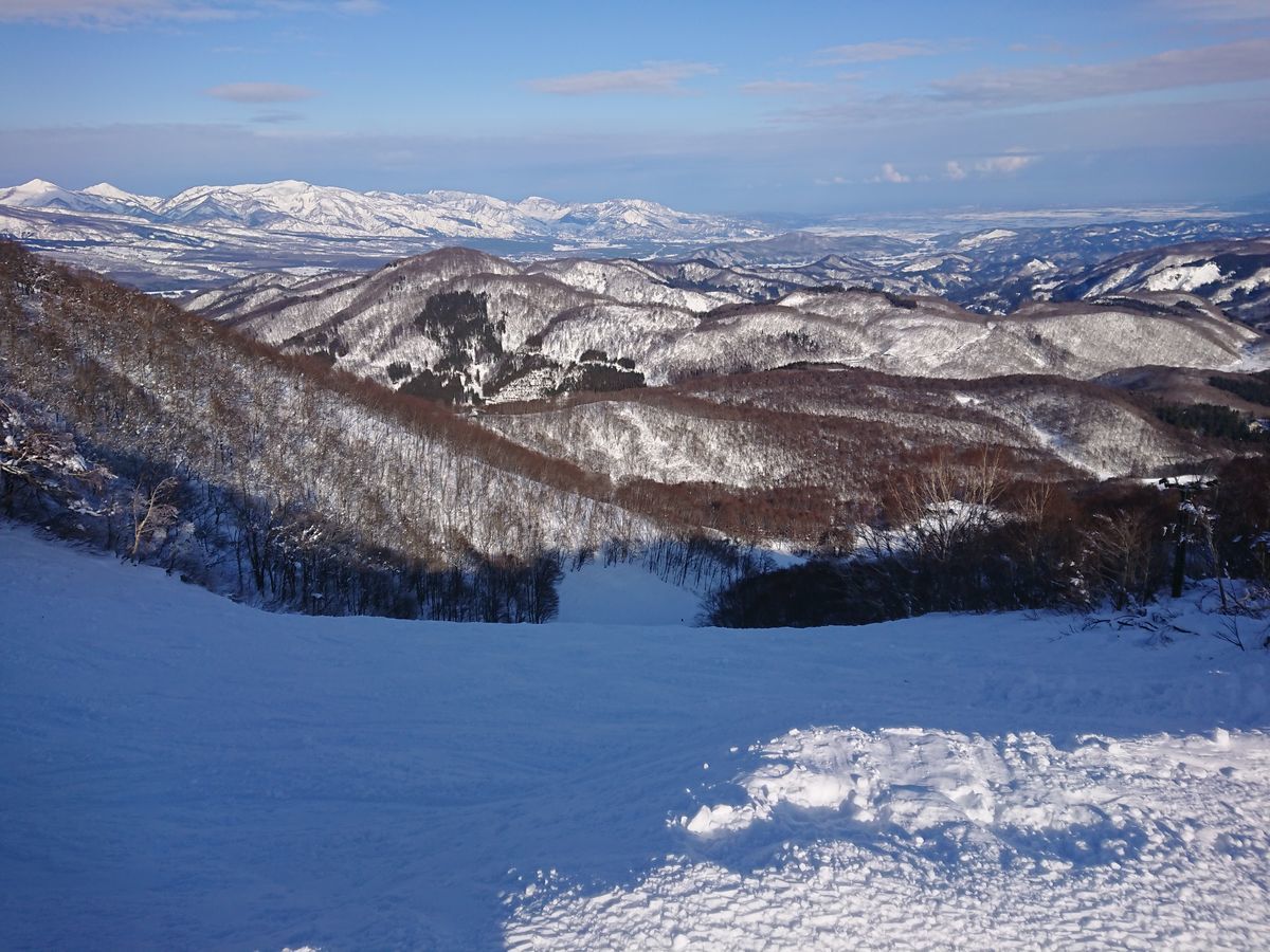 f:id:damtraveller:20201228193922j:plain