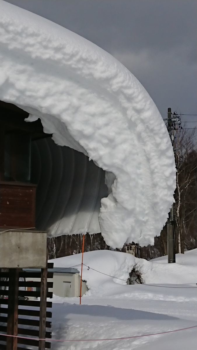 f:id:damtraveller:20201228195610j:plain