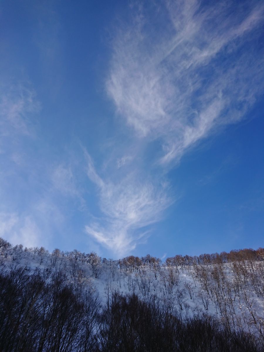 f:id:damtraveller:20201228202819j:plain