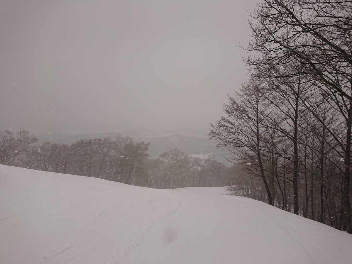 f:id:damtraveller:20201230173639j:plain