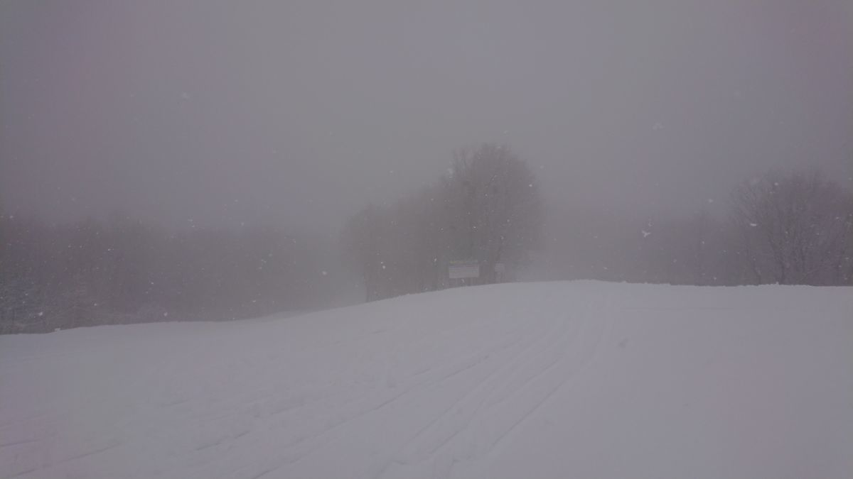 f:id:damtraveller:20201230174324j:plain