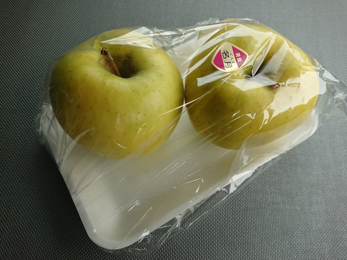 f:id:damtraveller:20201230180554j:plain