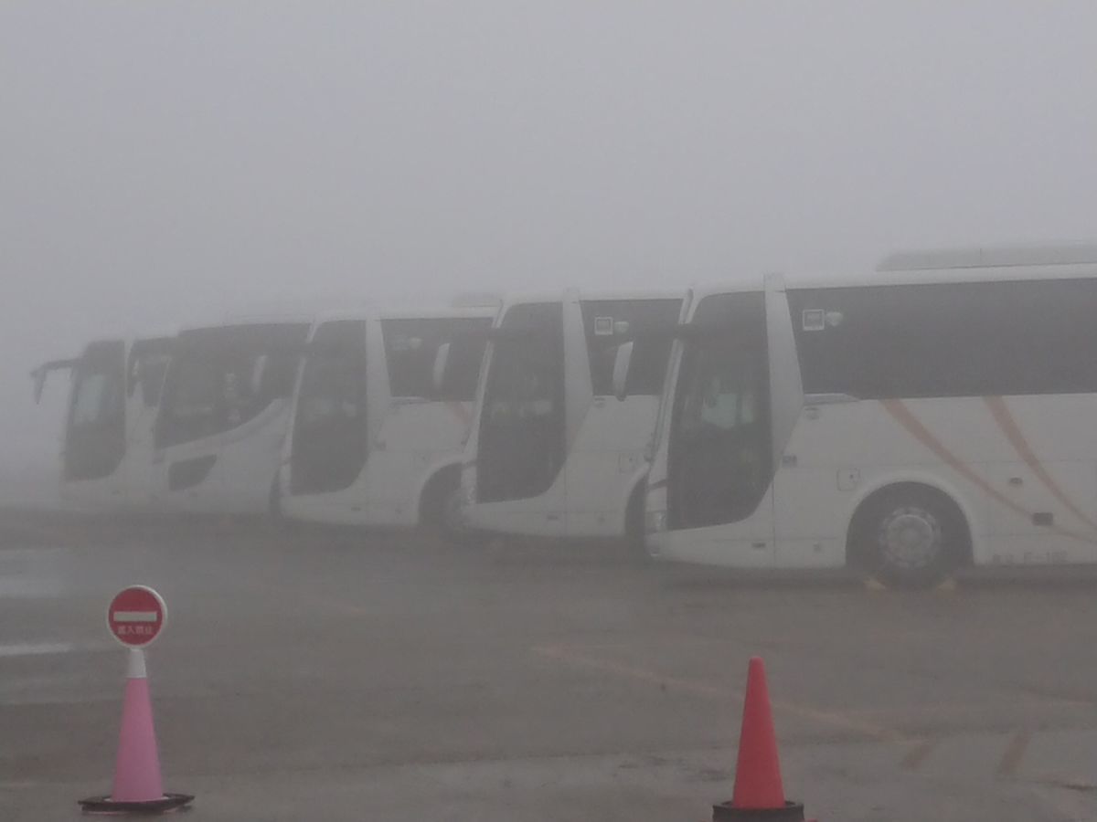 f:id:damtraveller:20210127154851j:plain