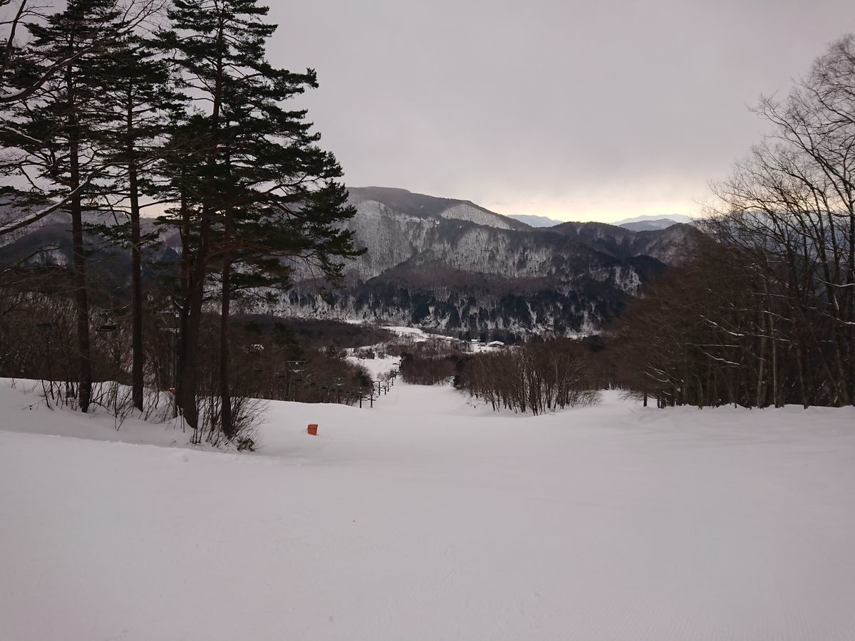 f:id:damtraveller:20210204160044j:plain