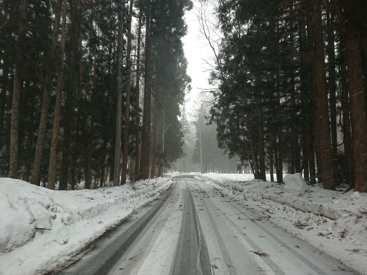 f:id:damtraveller:20210204160848j:plain