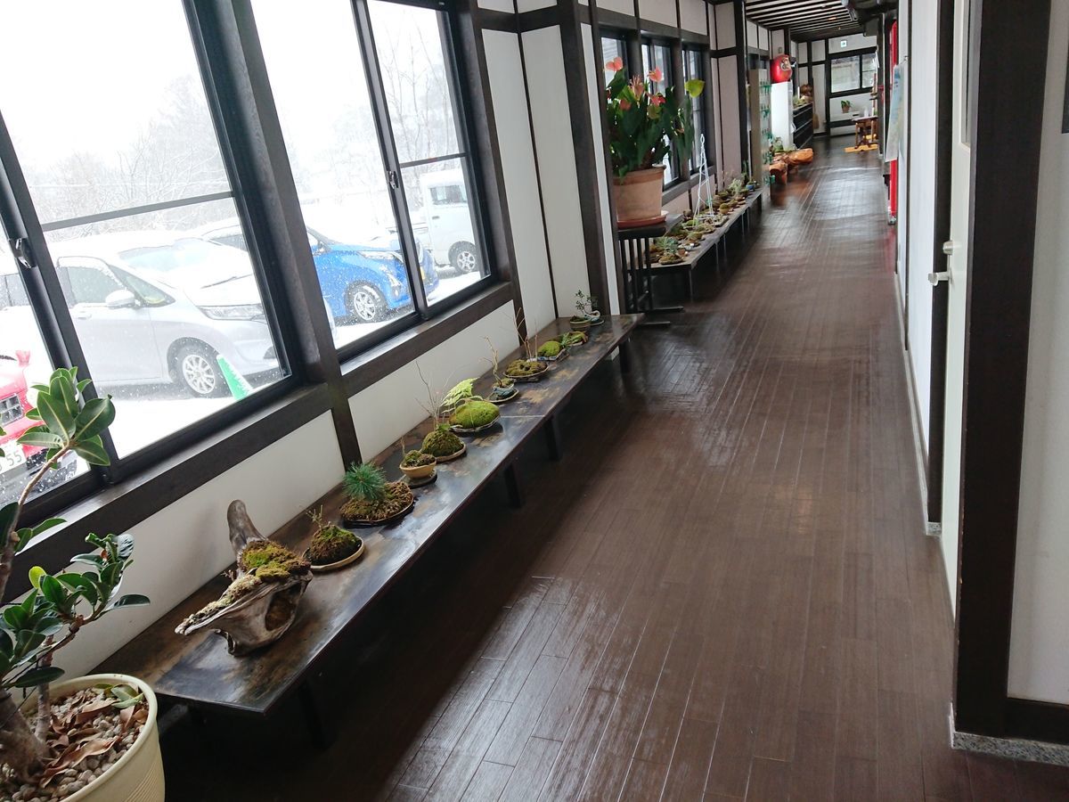 f:id:damtraveller:20210204161847j:plain