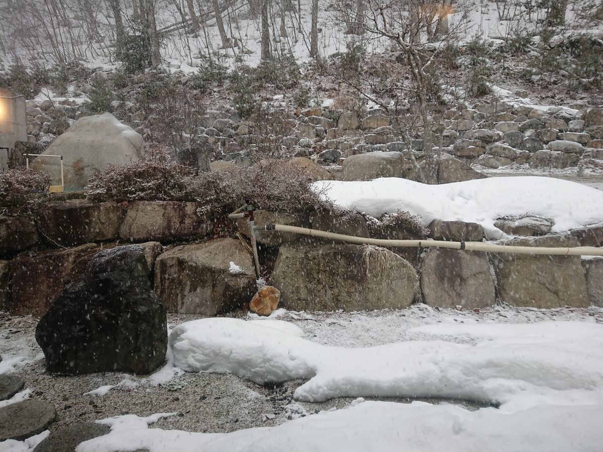 f:id:damtraveller:20210204162403j:plain