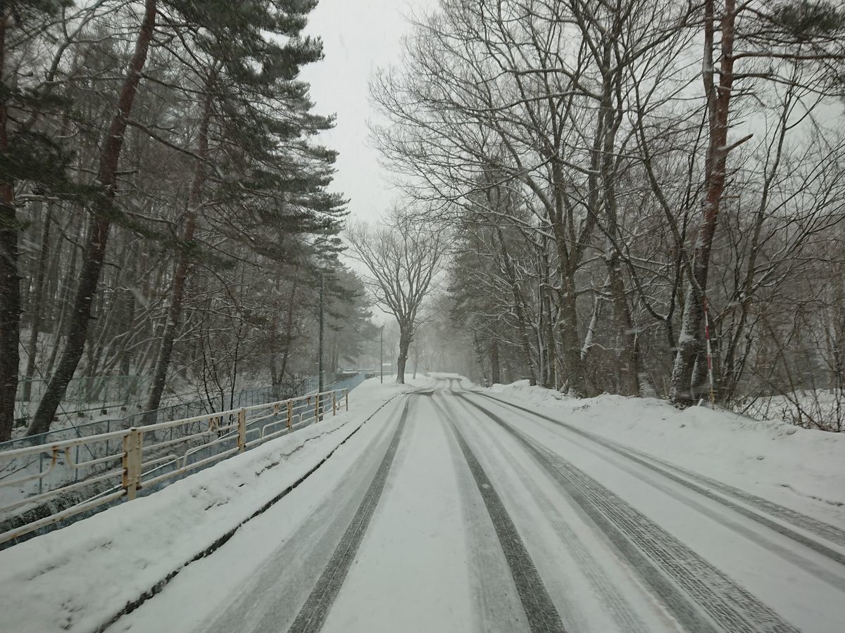 f:id:damtraveller:20210204163516j:plain