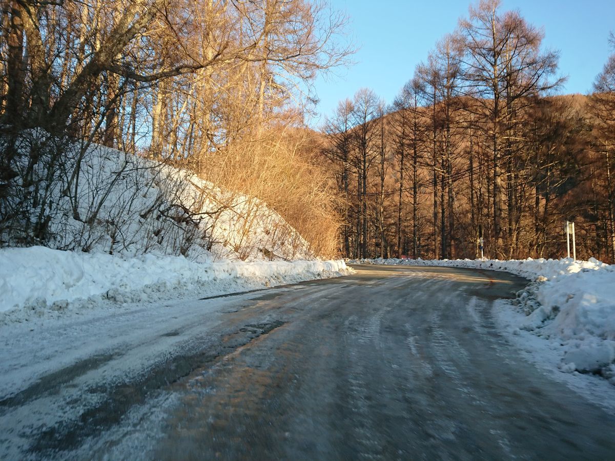 f:id:damtraveller:20210205163839j:plain