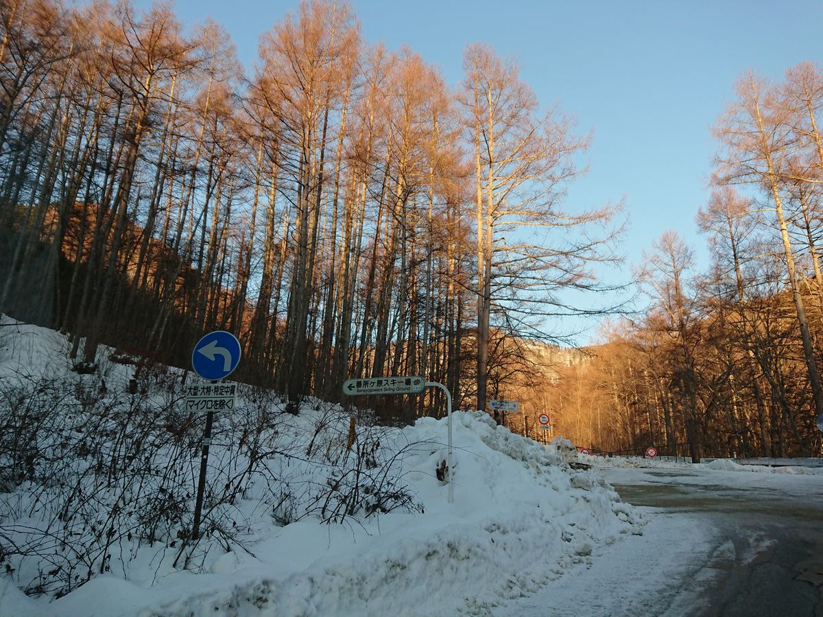 f:id:damtraveller:20210205163926j:plain