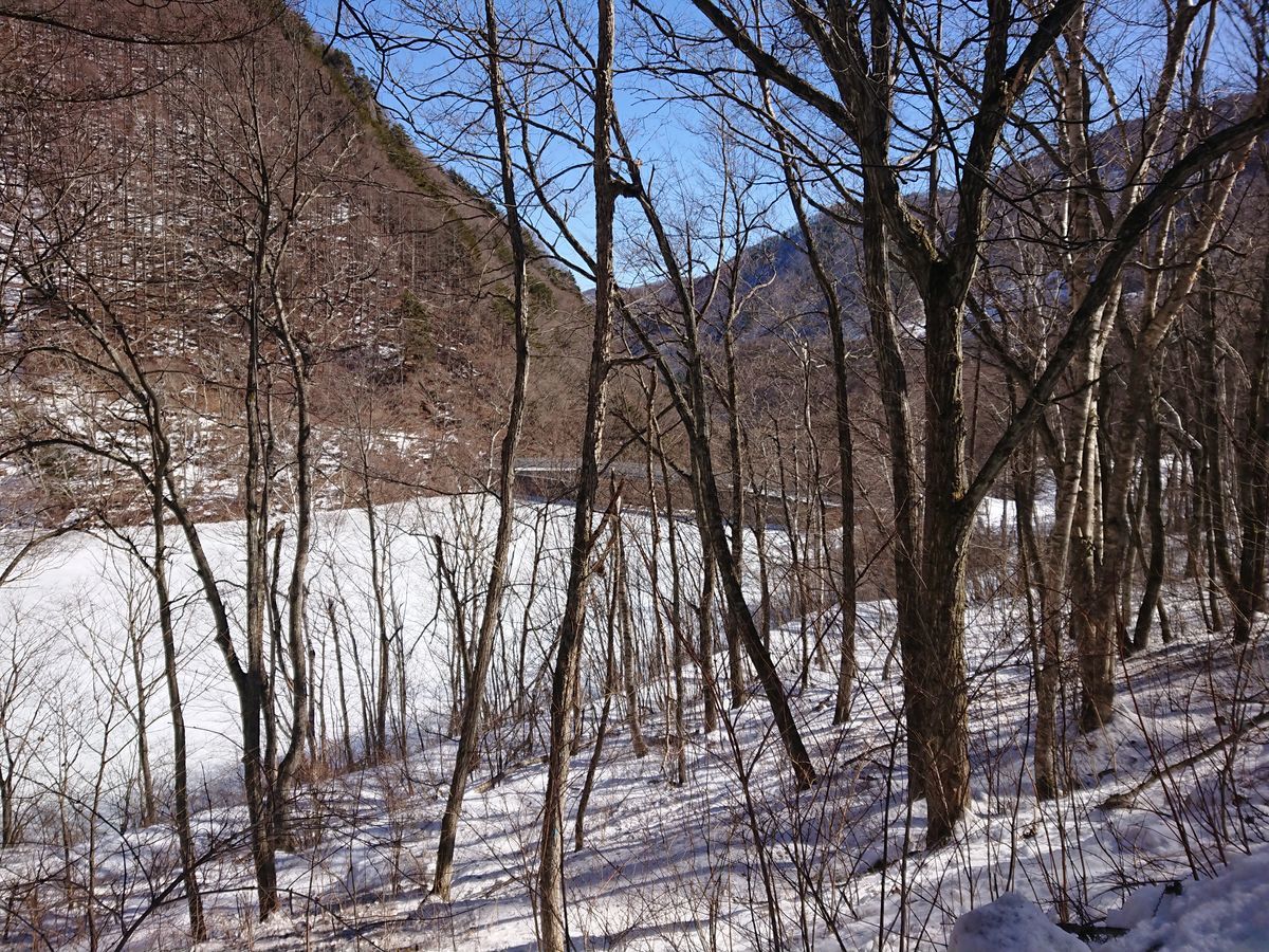 f:id:damtraveller:20210205180331j:plain