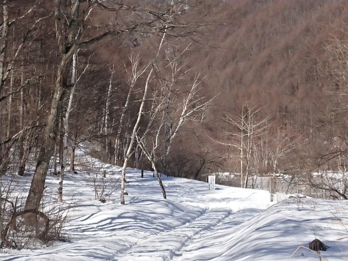 f:id:damtraveller:20210205180428j:plain