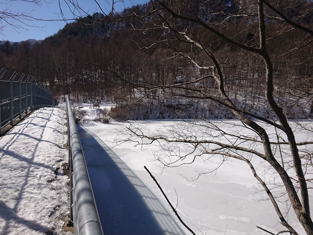 f:id:damtraveller:20210205180722j:plain